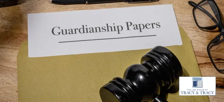 Staten Island Guardianship Attorney-image